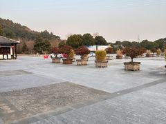 -孙武文化园-停车场