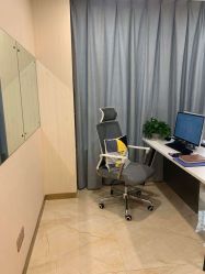 -碧莲盛·不剃发植发