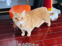 -一间摄影工作室(天安云谷店)