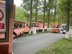 -黄海国家森林公园