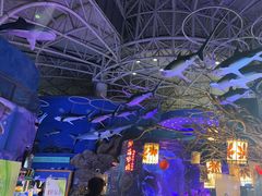 -烟台海昌鲸鲨海洋公园