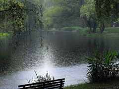 -上海共青森林公园