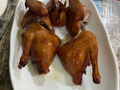 -东鸽皇(奥园·中环广场店)
