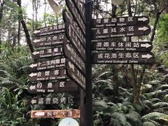 -田野绿世界