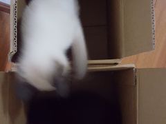 -联合动物医院(光谷诊疗中心)