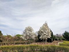 -洛阳市隋唐城遗址植物园