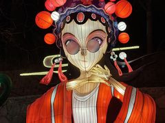 -淄博花灯齐彩城