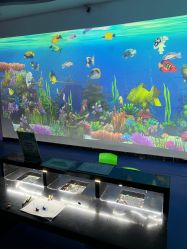 -酷嗒动物文化乐园(cutezoo西溪乐天城店)