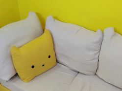 -洗脸猫·洗脸吧
