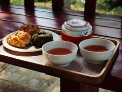 -东郊湿地公园
