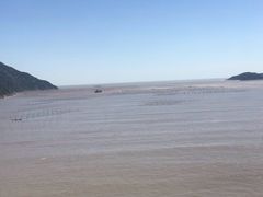 -北岐滩涂