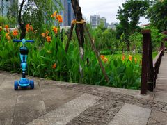 -沐仙湖湿地公园