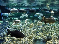 -成都浩海立方海洋公园