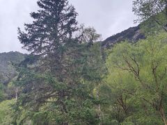 -叠溪松坪沟景区