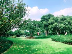 -杭州城北体育公园