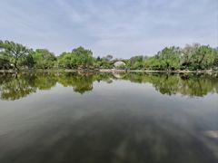 -石家庄市植物园