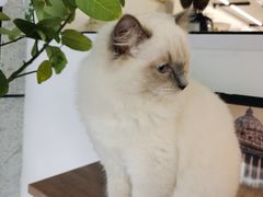 -FULL MOON满月咖啡