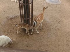 -太原动物园