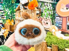 -酷乐潮玩(五道口购物中心店)