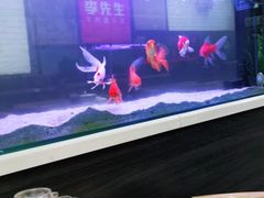 -李先生牛肉面大王(成都东站西广场店)