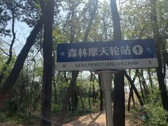 -日照海滨国家森林公园