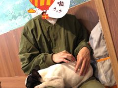 -柯斗斗主题餐厅·狗咖·围炉煮茶·茶饮(国瑞升平里店)