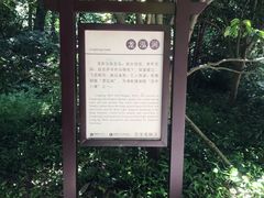 -中国茶叶博物馆(双峰馆区)