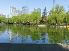 -团结湖公园