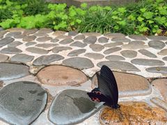 -广东温泉宾馆