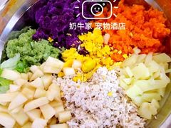 -奶牛家宠物酒店(嘉宏云顶店)