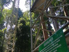 -乌鲁淡布隆国家公园