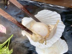 扇贝-丽江庭院之爱在路上(西单店)