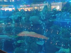 -成都浩海立方海洋公园