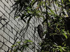 -西安市广仁寺