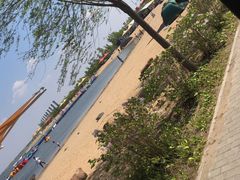 -呼兰河口湿地公园