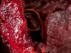 -陆稿荐观前街店