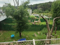 -沈阳森林动物园