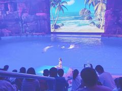 -芜湖新华联大白鲸海洋公园
