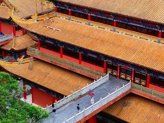 -东莞市大岭山森林公园