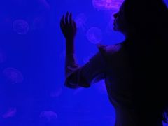 -福州罗源湾海洋世界旅游区