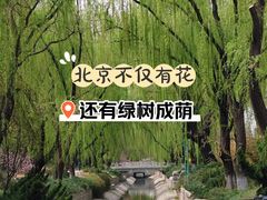 -菖蒲河公园