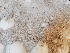 -沙湾姜撞奶(十四涌店)