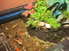 -隐炉和牛烧肉店(群力店)