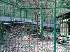 -藏龙百瀑风景区