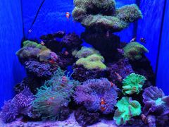 -多彩贵州城极地海洋世界