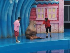 -华夏文旅海洋公园