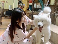 -more than meow吴止猫主题餐厅(承德 中船汇店)