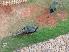 -华谊兄弟（长沙）电影小镇