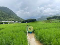 -万峰林风景区