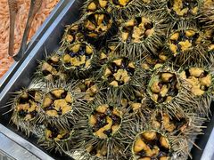 -天天鱼港·海鲜·鲅鱼水饺·招牌烤鸭(黄骅店)